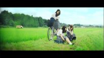 Cm-Nogikoi